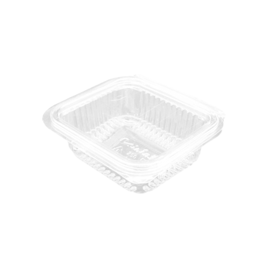 Contenitore Take Away Trasparente Con Coperchio 250ml