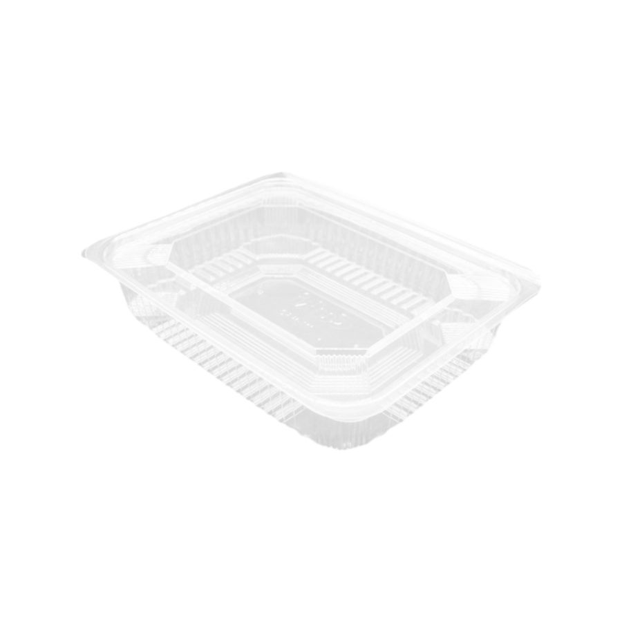 Contenitore Take Away Trasparente Con Coperchio 20.5×15.6cm