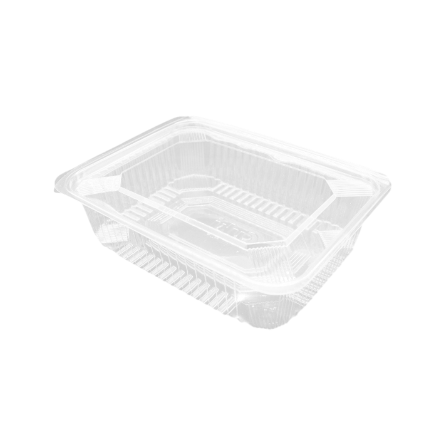 Contenitore Take Away Trasparente Con Coperchio 20.5×15.6cm