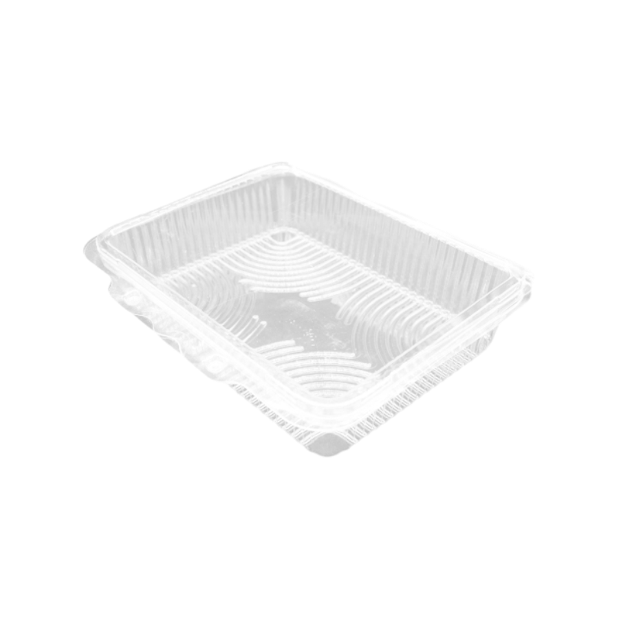 Contenitore Take Away Trasparente Con Coperchio 20.5×15.6cm